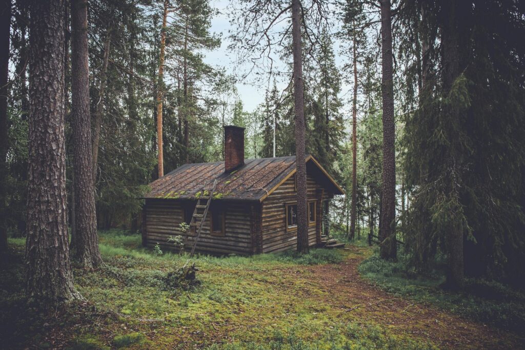 Wooden lakeside bungalow among trees