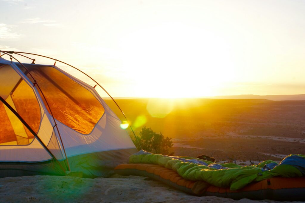 Quiet wooded campsite pitch